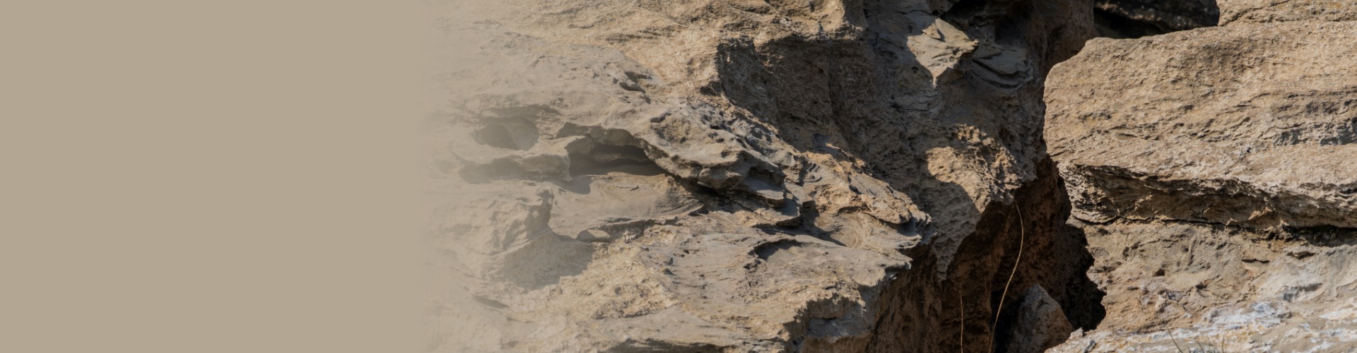 NextGen Healthcare Blog Filling the Cavity Between Dentistry and Medicine